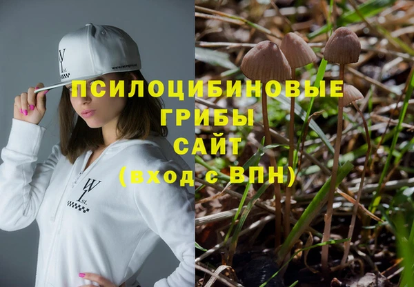 дурь Белокуриха