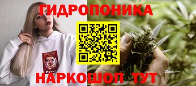индика Мариинск