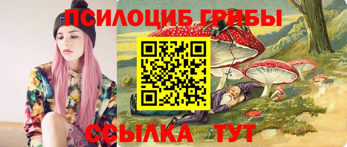 Галлюциногенные грибы GOLDEN TEACHER  купить   Галлюциногенные грибы мухоморы  Буйнакск  Вход с VPN 