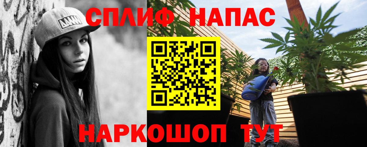 Бошки Шишки сатива Буйнакск